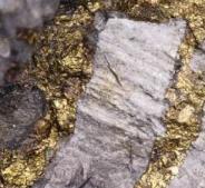 Inclusion d'or dans une roche